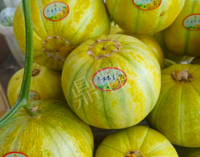 蔬菜種子種植戶客戶點評-這個甜瓜熟透了都不裂瓜，在新疆賣14元每公斤！